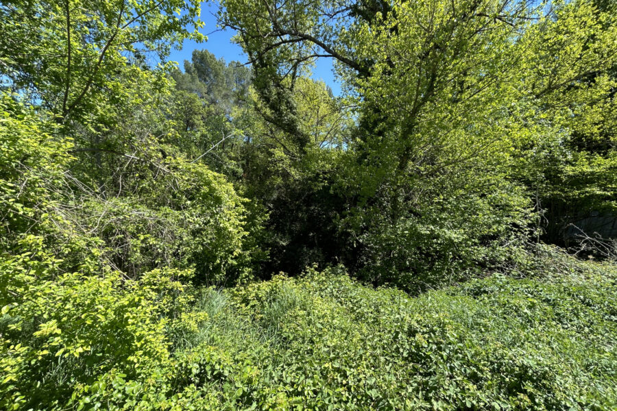 Terrain à vendre à Villecroze — Vue nature — photo 4
