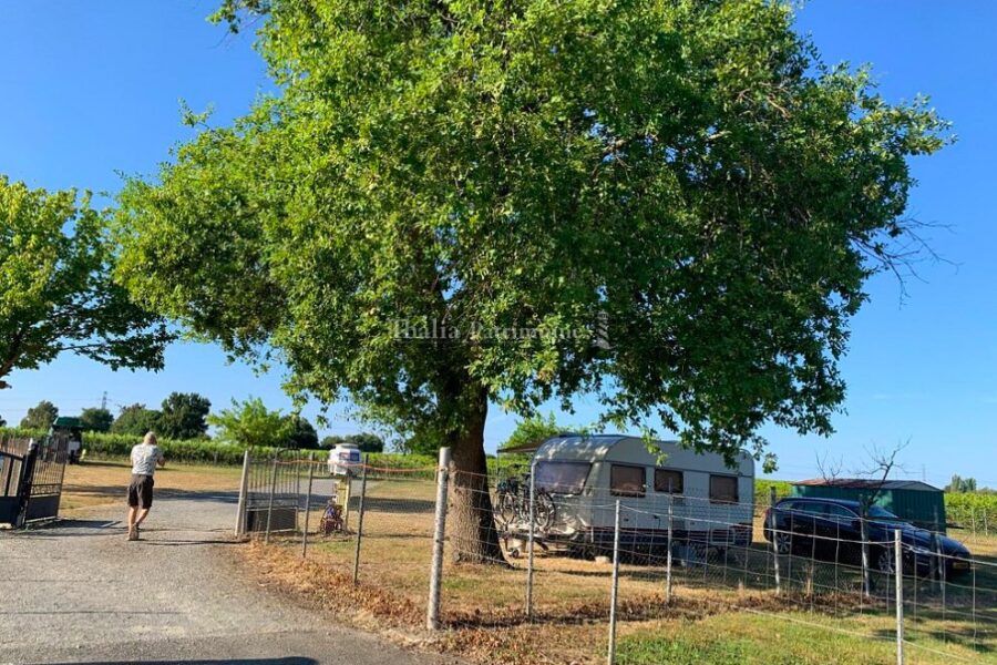 Maison à vendre à Périssac — Vue vignes — photo 13