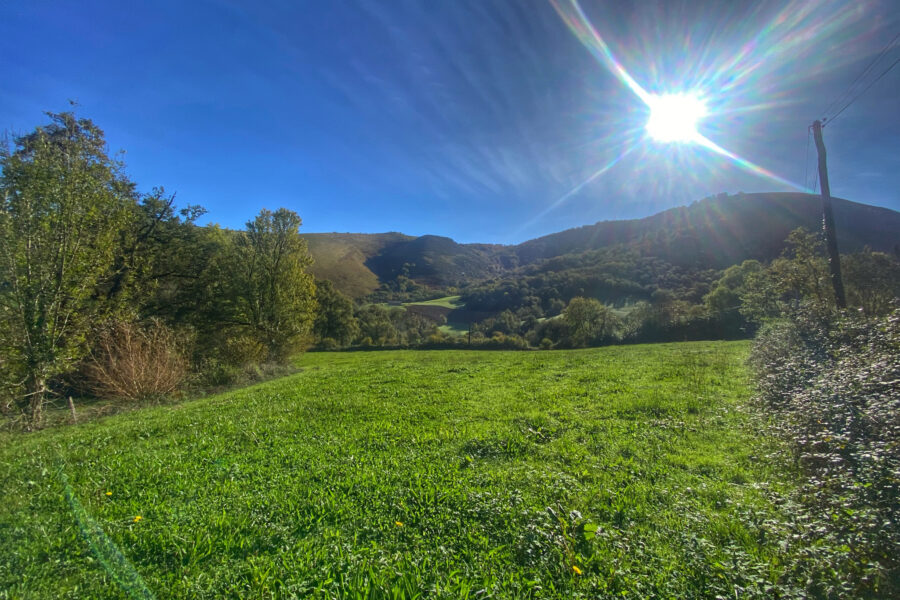 Terrain à vendre à Saint-palais — Vue nature — photo 1