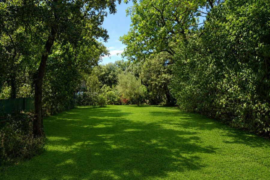 Maison à vendre à Saint-maximin-la-sainte-baume