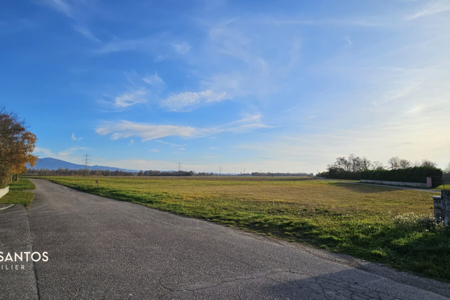 Maison à vendre à Blodelsheim — Vue nature — photo 1