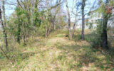 Terrain à vendre à Fox-amphoux — Vue parc — photo 2