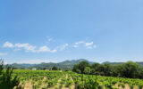 Maison à vendre à Vacqueyras — Vue vignes — photo 1