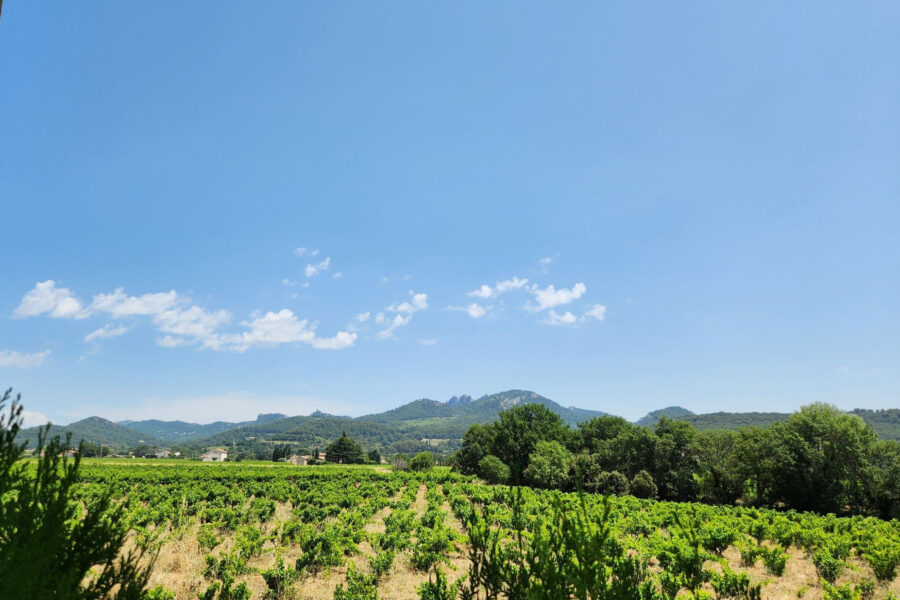 Maison à vendre à Vacqueyras — Vue vignes — photo 1