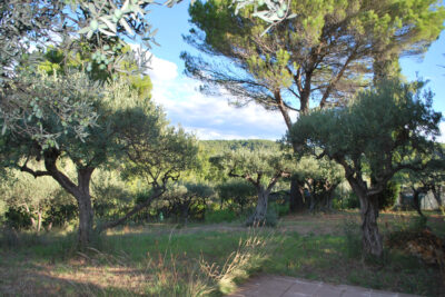 Terrain à vendre à Salernes