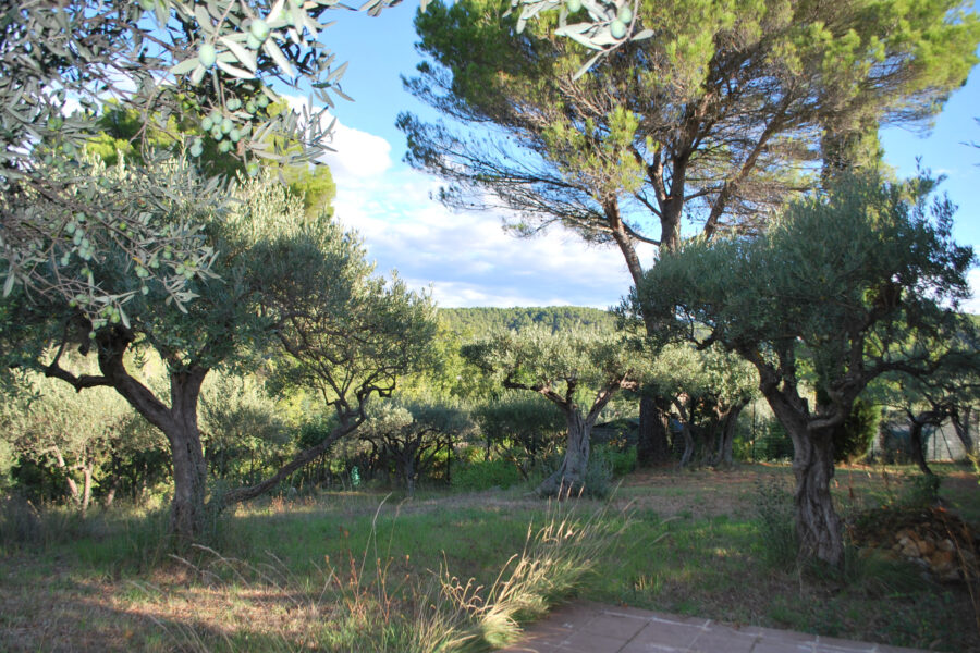 Terrain à vendre à Salernes — Vue nature — photo 1