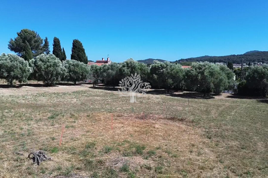 Terrain à vendre à Six-fours-les-plages — photo 10