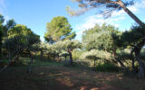 Terrain à vendre à Salernes — Vue nature — photo 4