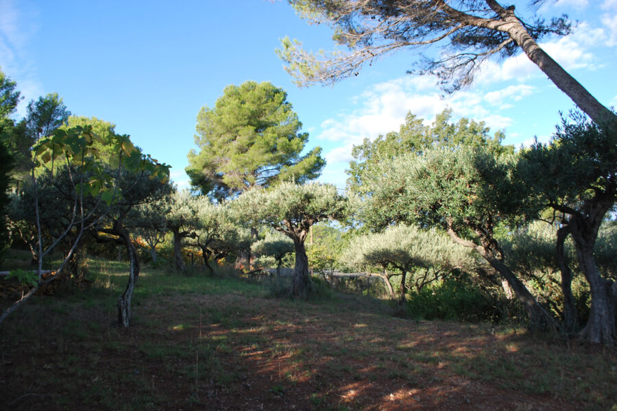 Terrain à vendre à Salernes — Vue nature — photo 4