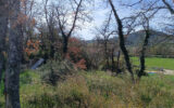 Terrain à vendre à Fox-amphoux — photo 2
