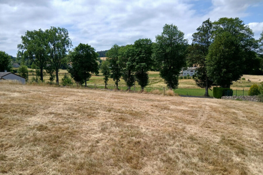 Terrain à vendre à Tence — Vue nature — photo 3