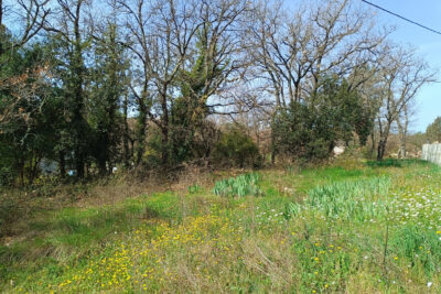 Terrain à vendre à Fox-amphoux