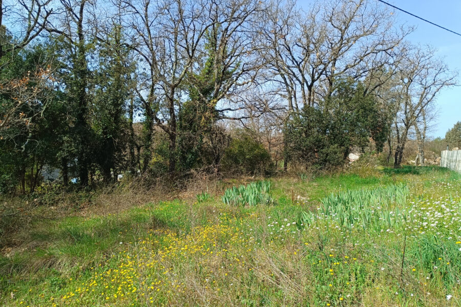 Terrain à vendre à Fox-amphoux — photo 3