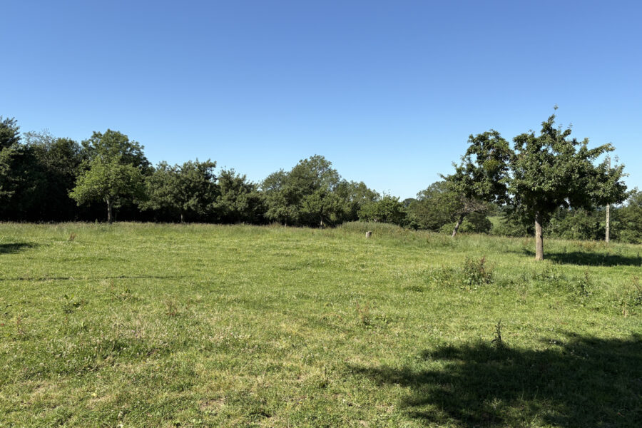 Maison à vendre à Le pin-au-haras — Vue nature — photo 12