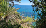 Maison à vendre à La croix-valmer — Vue mer — photo 3