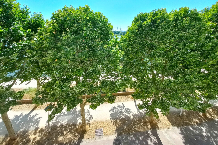 Appartement à vendre à Créteil