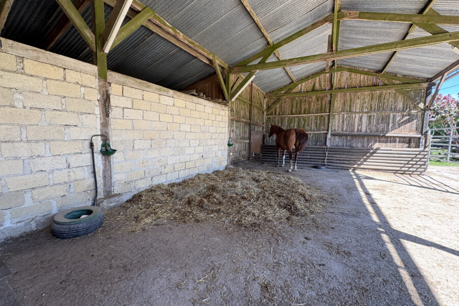 Maison à vendre à Le pin-au-haras — Vue nature — photo 11