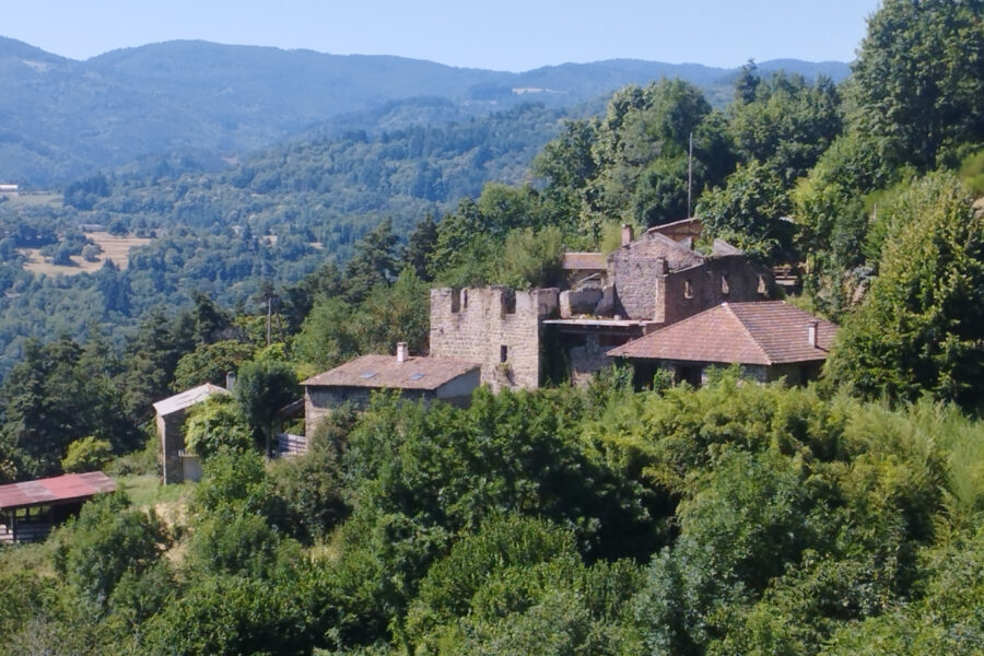 Maison à vendre à Nonières
