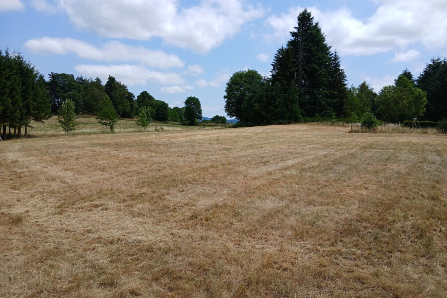 Terrain à vendre à Tence — Vue nature — photo 4