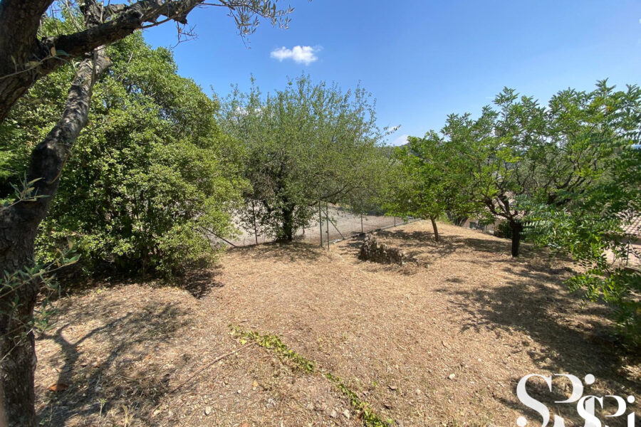 Terrain à vendre à Solliès-ville — photo 1