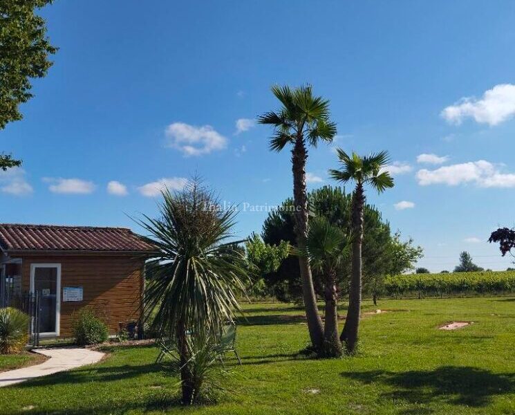 Maison à vendre à Périssac — Vue vignes — photo 8
