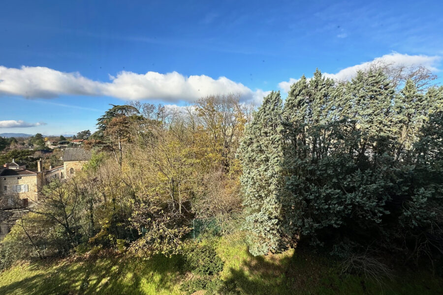Appartement à vendre à Caluire-et-cuire — Vue nature — photo 4