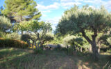 Terrain à vendre à Salernes — Vue nature — photo 16