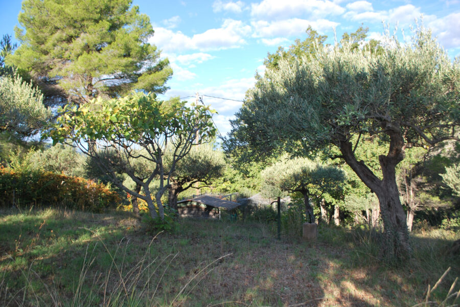 Terrain à vendre à Salernes — Vue nature — photo 16
