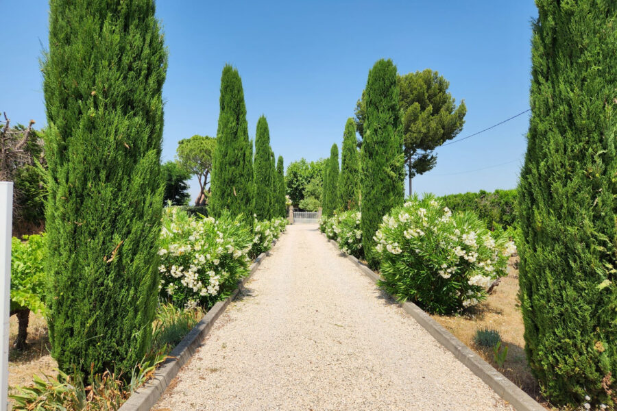 Maison à vendre à Vacqueyras — Vue vignes — photo 7