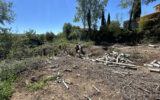 Terrain à vendre à Villecroze — Vue nature — photo 8