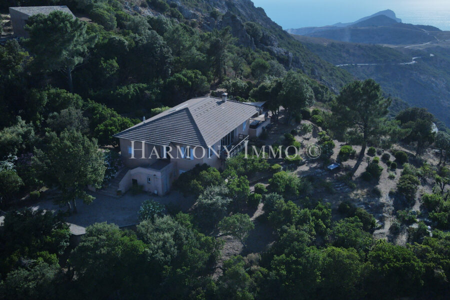Maison à vendre à Piana — Vue mer — photo 19