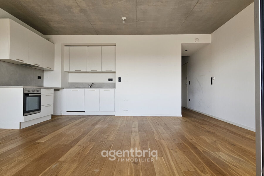 Appartement à vendre à Mulhouse — Vue fleuve — photo 4