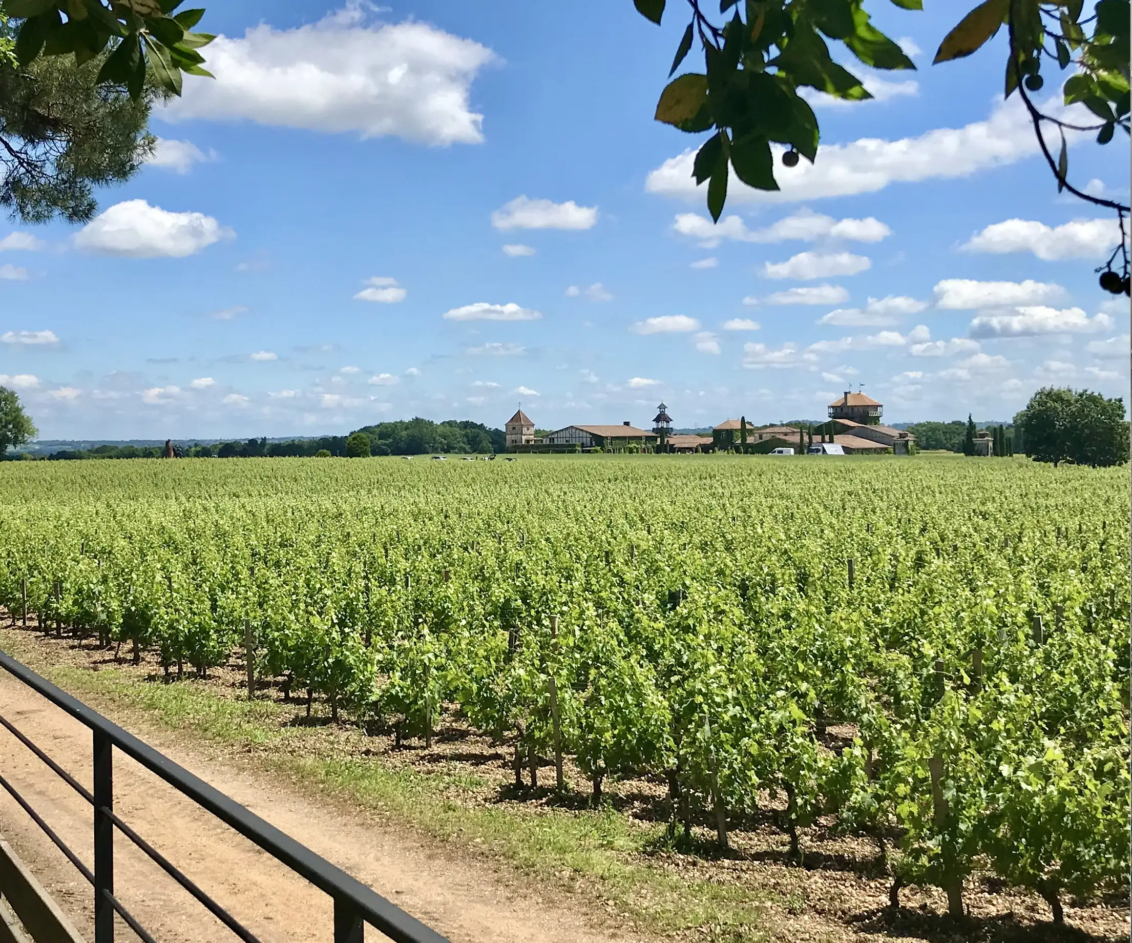 Vue sur les vignes et le domaine viticole