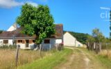 Maison à vendre à La ferté-saint-cyr — Vue nature — photo 19