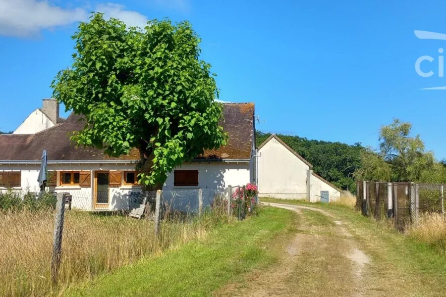 Maison à vendre à La ferté-saint-cyr — Vue nature — photo 19