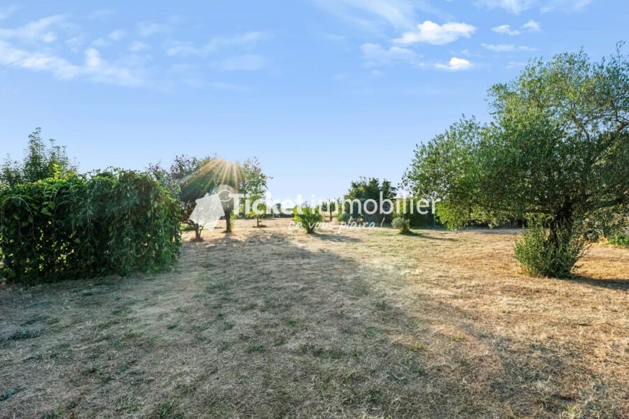 Maison à vendre à Cornebarrieu — Vue nature — photo 19