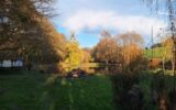 Terrain à vendre à Boursay — Vue lac — photo 4