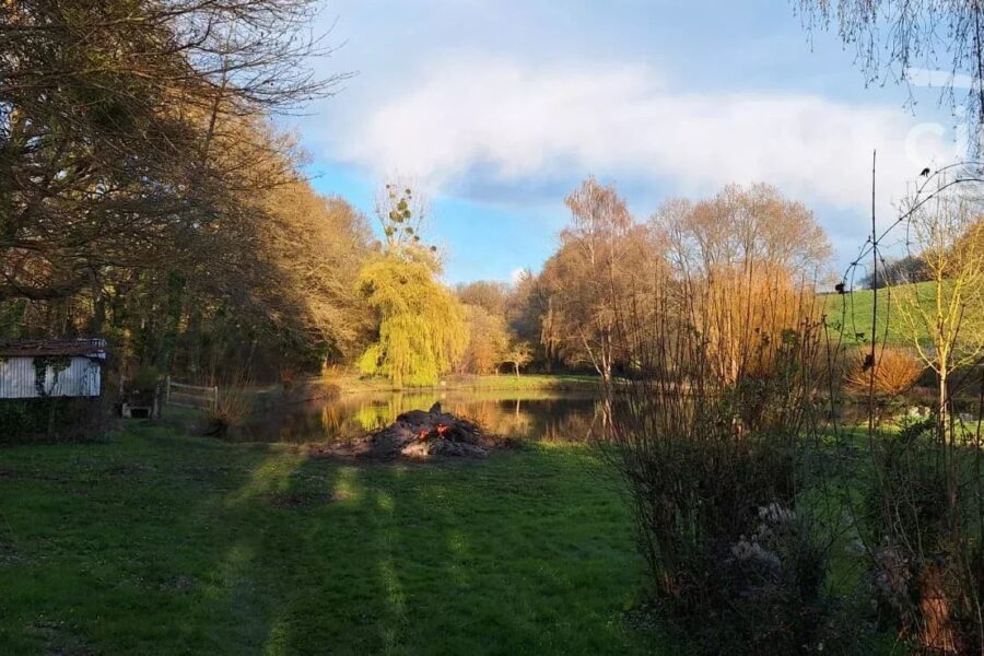 Terrain à vendre à Boursay — Vue lac — photo 4