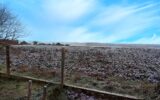 Maison à vendre à Saint-genest-d&rsquo;ambière — Vue nature — photo 1
