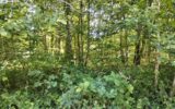 Terrain à vendre à Bazoches-sur-le-betz — Vue dégagée — photo 1