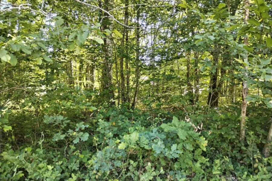 Terrain à vendre à Bazoches-sur-le-betz — Vue dégagée — photo 1