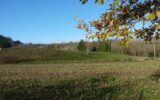 Terrain à vendre à Saint-geoire-en-valdaine — Vue montagne — photo 4