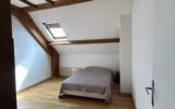 Maison à vendre à La chapelle-du-bois-des-faulx — Vue parc & jardin — photo 10