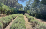 Maison à vendre à Aix-en-provence — Vue nature — photo 12
