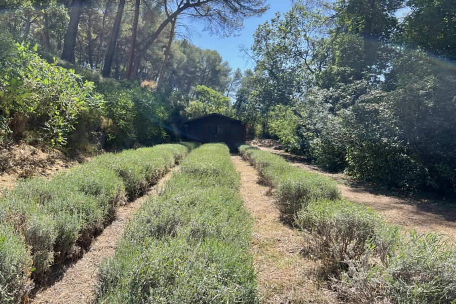 Maison à vendre à Aix-en-provence — Vue nature — photo 12