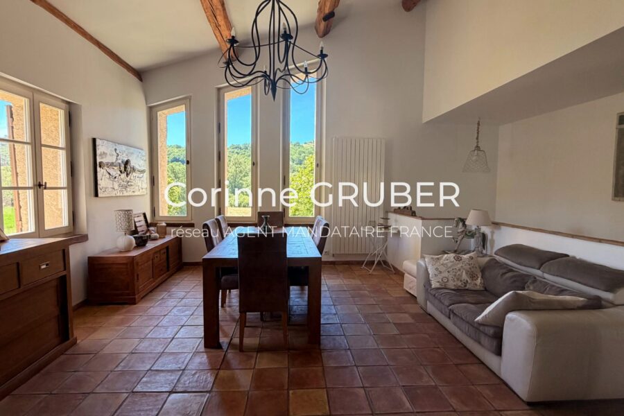 Maison à vendre à Thoard — Vue montagne — photo 10
