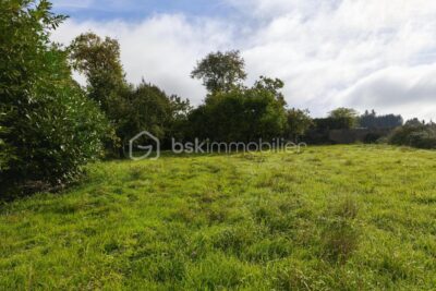 Terrain à vendre à Sixt sur aff