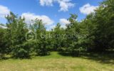 Terrain à vendre à Monclar de quercy — Vue dégagée — photo 1