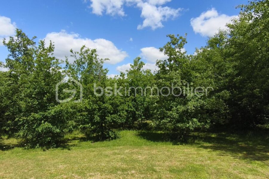 Terrain à vendre à Monclar de quercy — Vue dégagée — photo 1