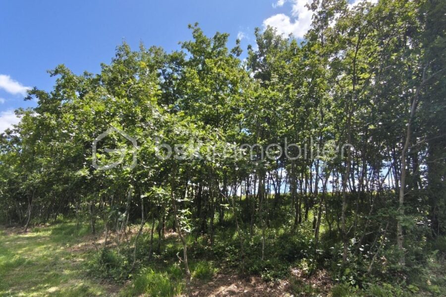 Terrain à vendre à Monclar de quercy — Vue dégagée — photo 1